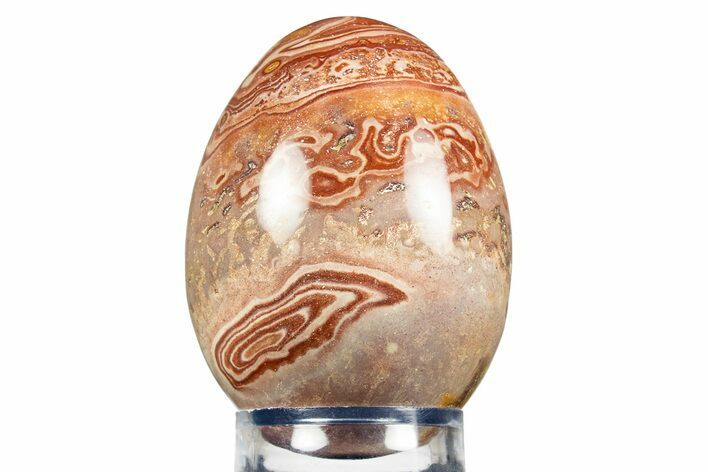 Polished Colorful Rhyolite Egg - Nevada #308869